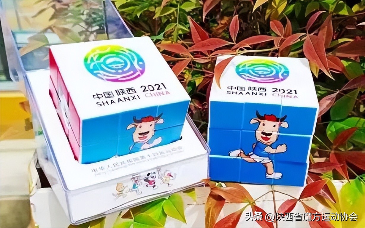 陕西省魔方运动协会主席张江维：魔方不能被替代的13个理由！