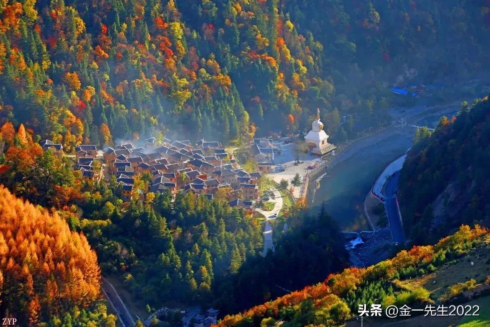 基金的投资比例是什么,基金投资的标的资产的不同