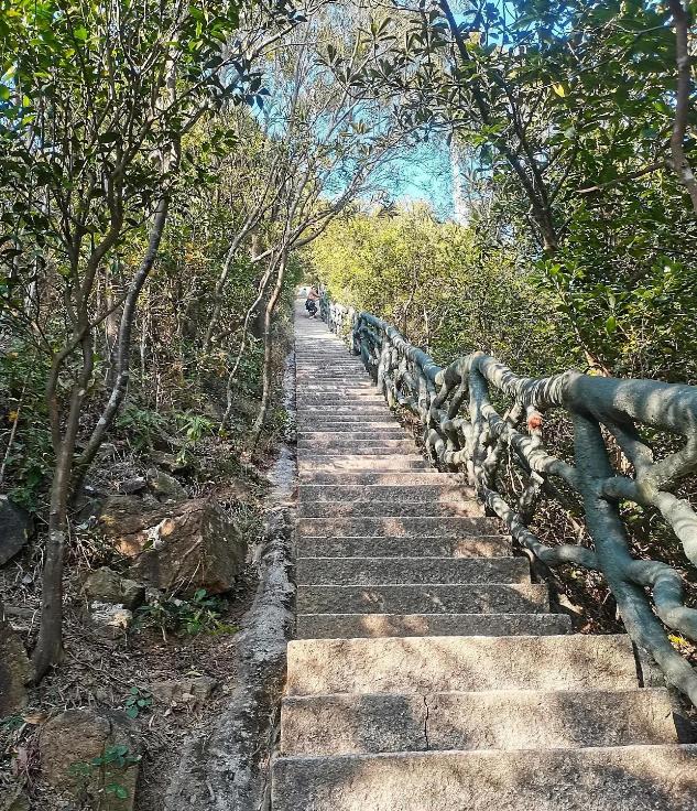 两日游自驾推荐景点广东,广东最值得去的旅游景点
