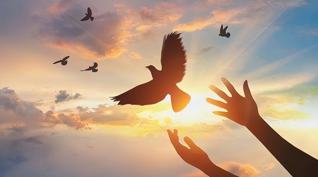 美国高层有哪些,美国专家说中美各有五方面优势