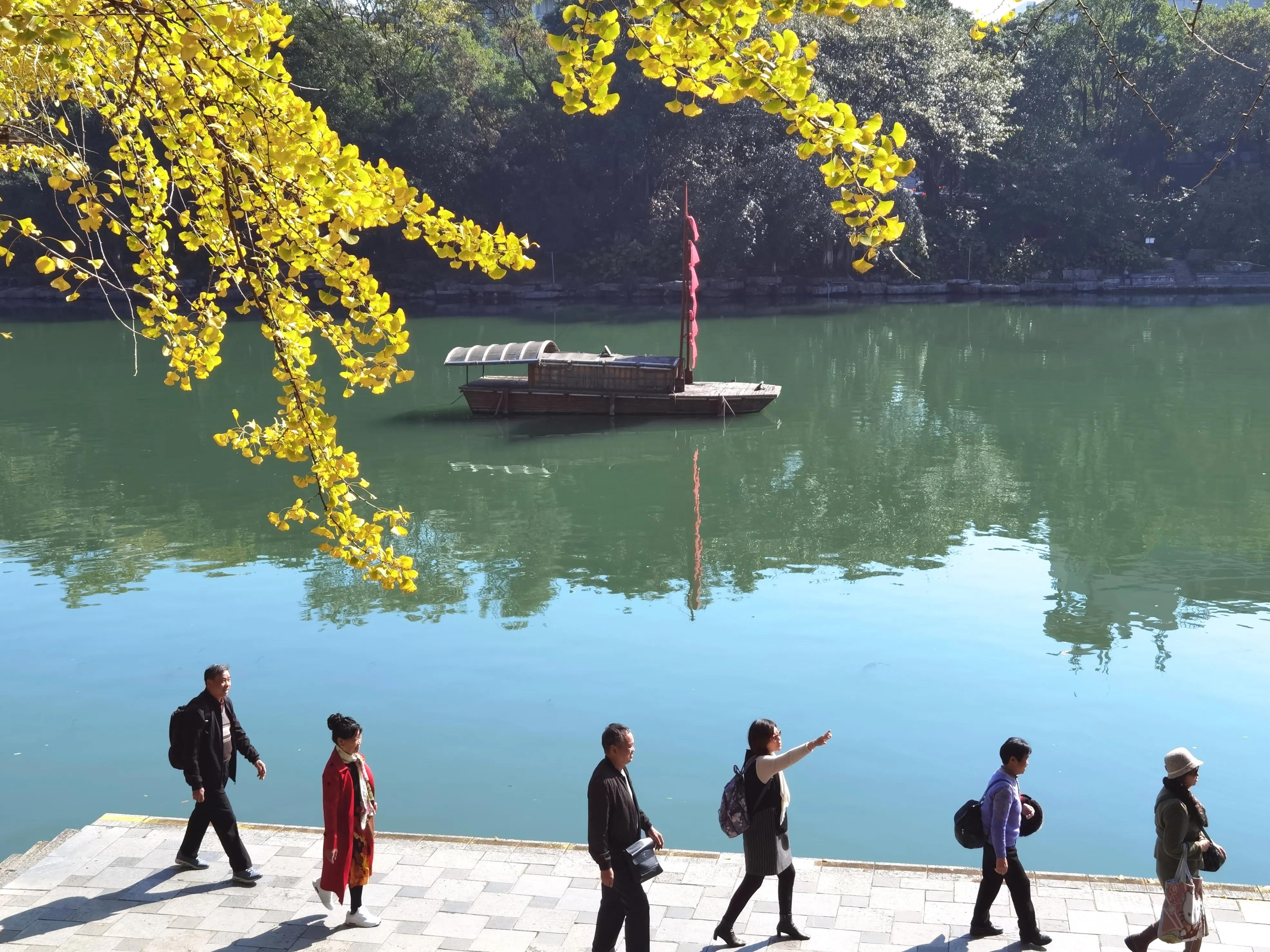 桂林的桂湖在哪里,桂林两江四湖之桂湖