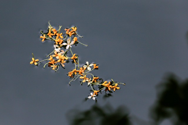 “初五，十四，二十三，外面有钱莫去担”，今天五月十四，啥意思