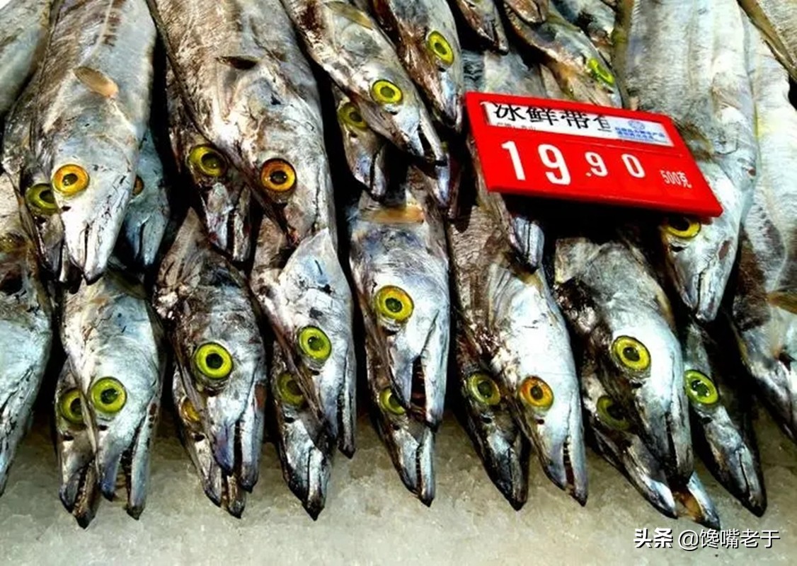 买带鱼注意这几个地方,买带鱼眼珠黑好还是白好
