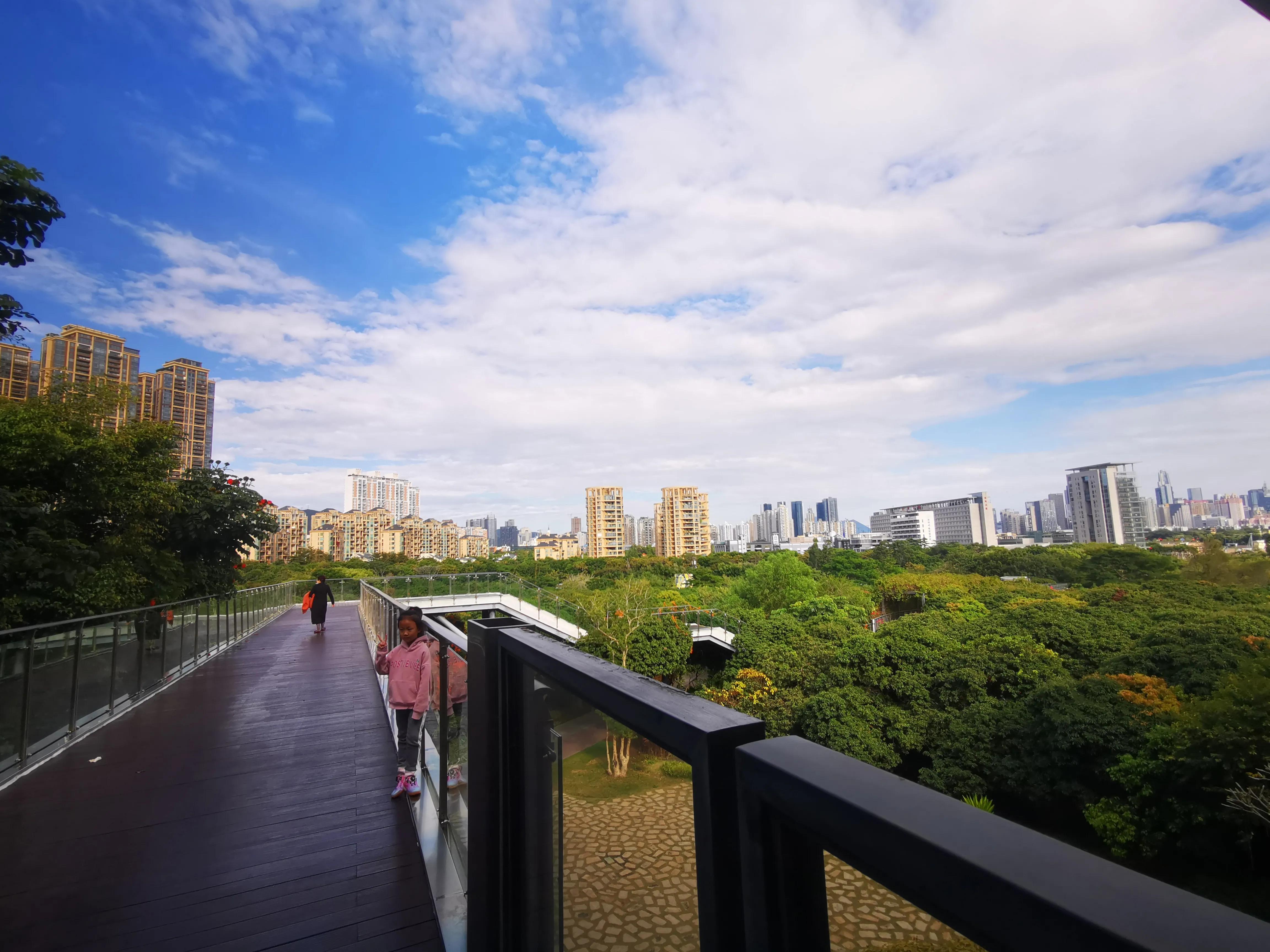 这才是深圳最值得打卡的十大景区,深圳莲花山公园赏花打卡地推荐