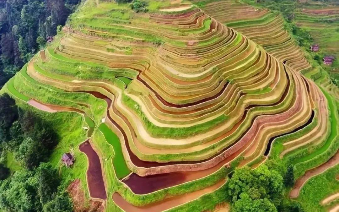 贵州足球在哪里比赛,足球开球贵州人
