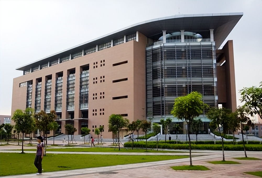 女总裁花50万生下孩子,26岁女总裁生了五国混血