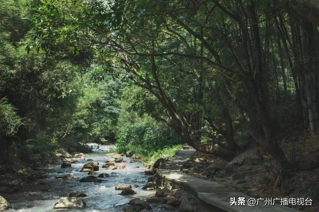 广州室内避暑的地方,广州夏日避暑胜地
