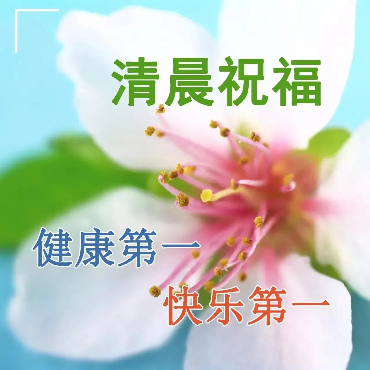 2023年03月03日星期五农历：癸卯年【兔年】二月十二八九第9天