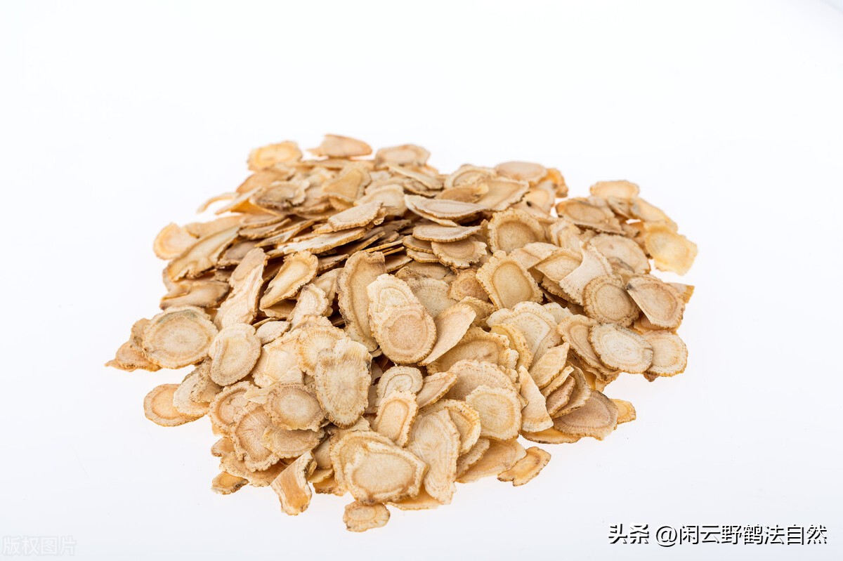 西洋参养生茶提高免疫力,西洋参可以调整免疫系统