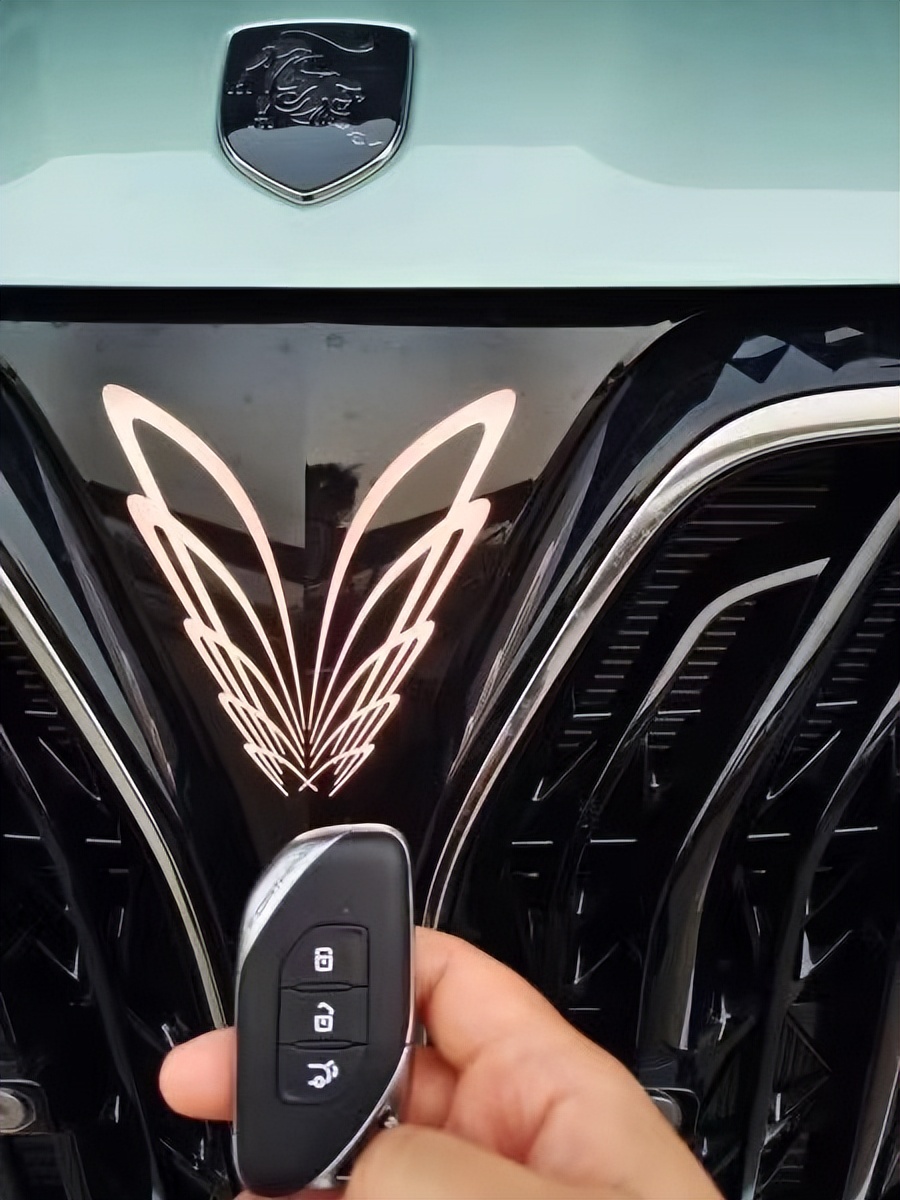 提风行游艇作业，终于知道风行游艇口碑为什么这么好