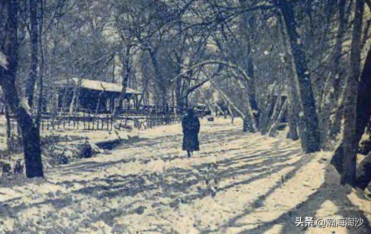 明园往事：盛世才他老丈人霸占后怎样营造成私家园林的？