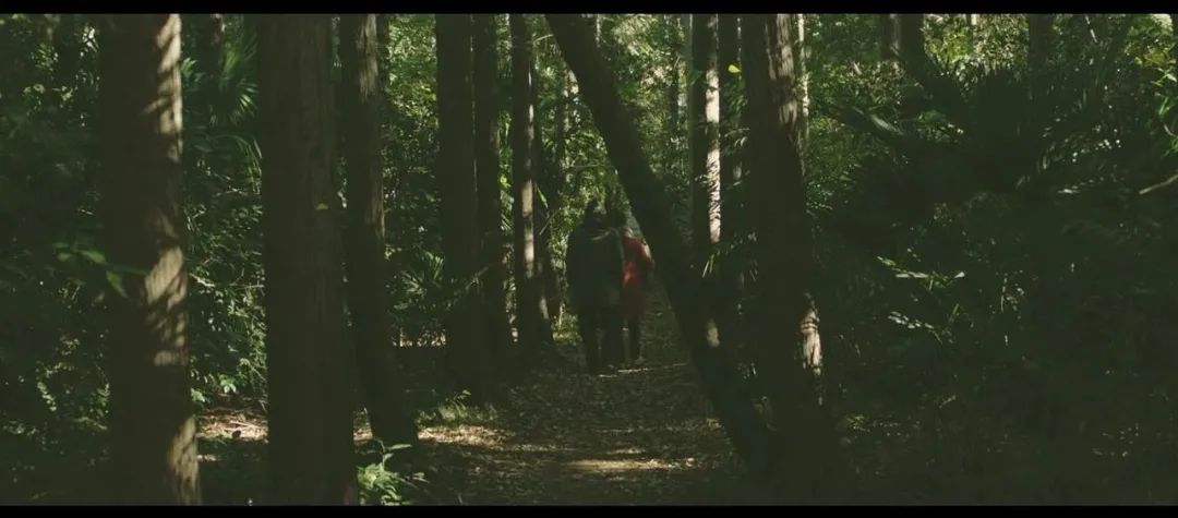 食之三部曲ￜ身心灵的救赎，情不自禁的美味人生