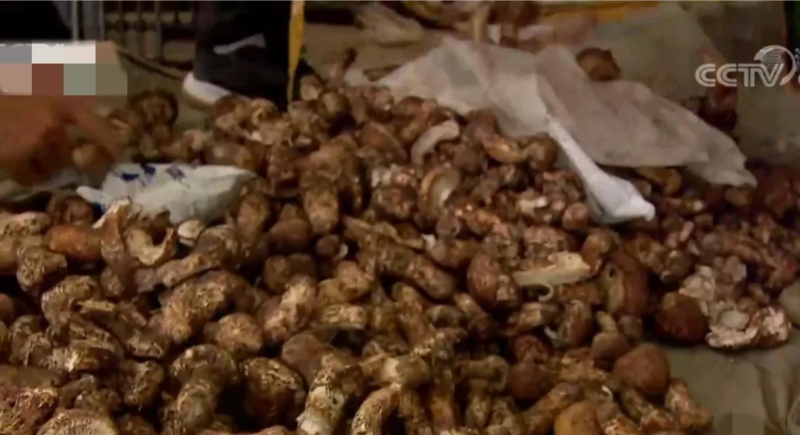 看云南男子如何玩转山货,成功带领1000位农民致富,销售额2000万