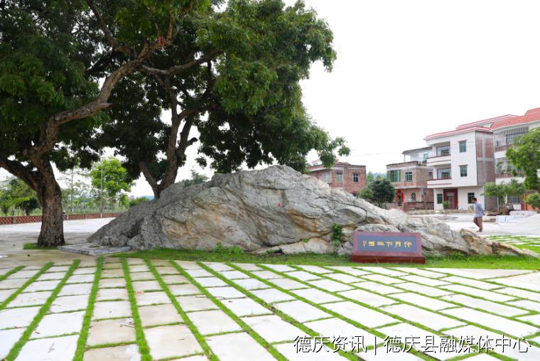 肇庆最美公园,大美广东肇庆风景区