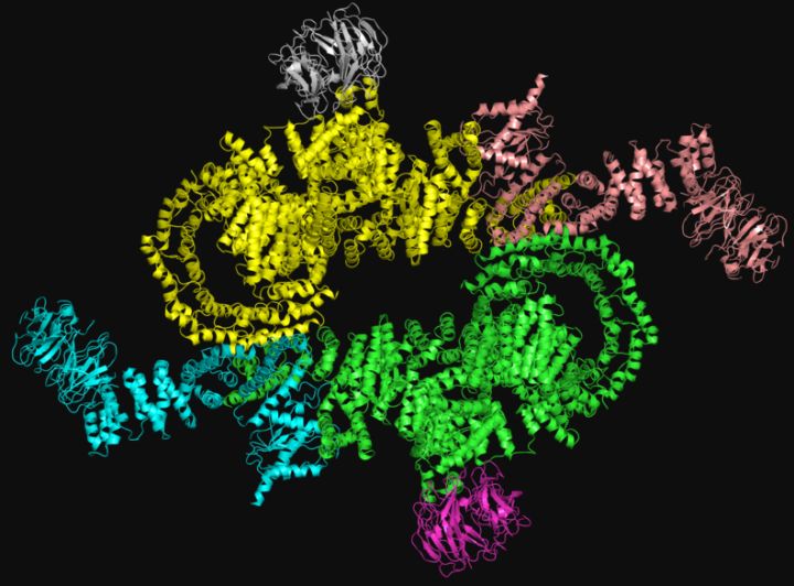 健身增肌好处的简介,锻炼和健身增肌的原理
