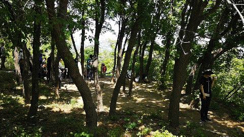 西山国家森林公园海拔,西山国家森林公园昆明