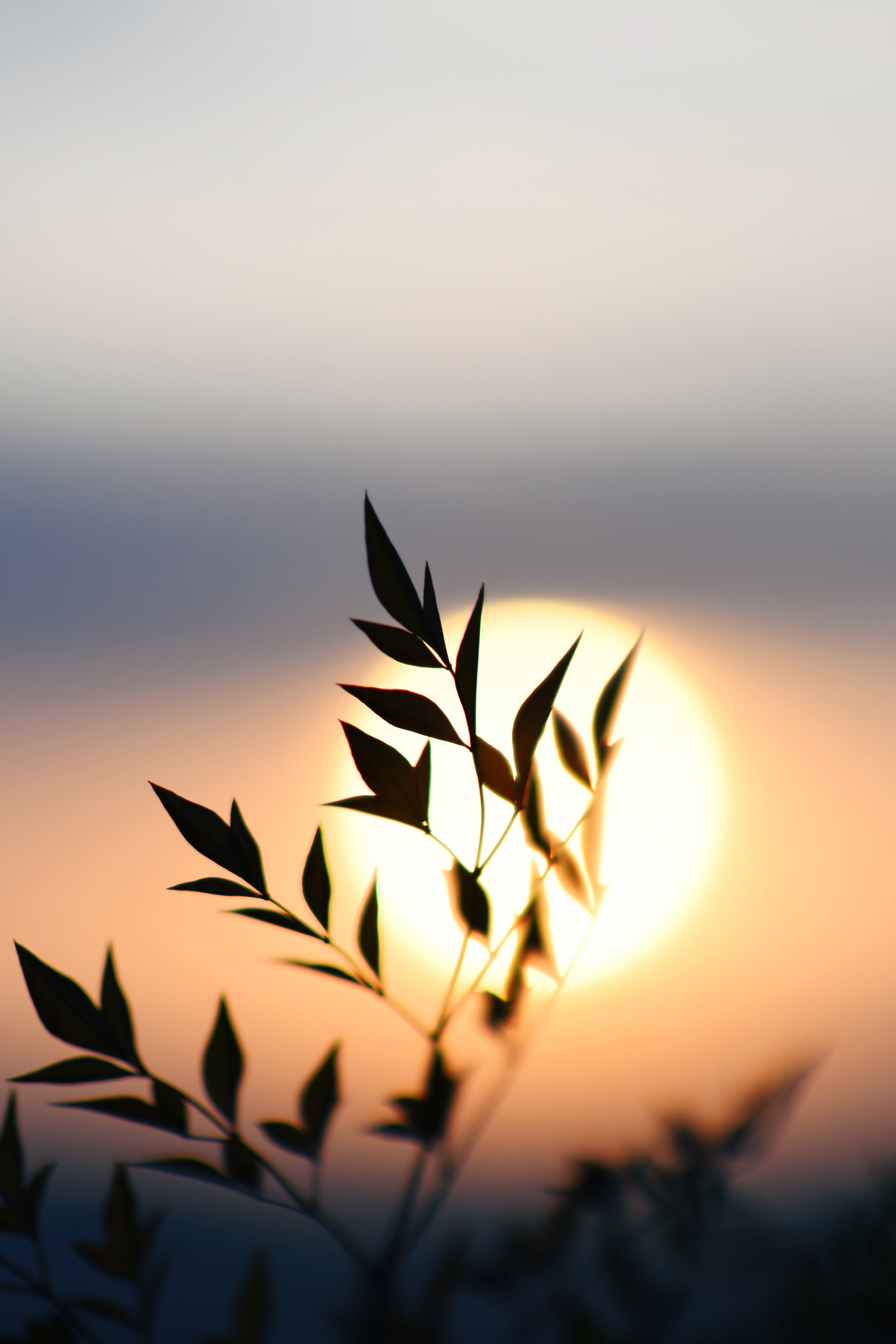 界石见山空谷民宿,巴南界石世外桃源