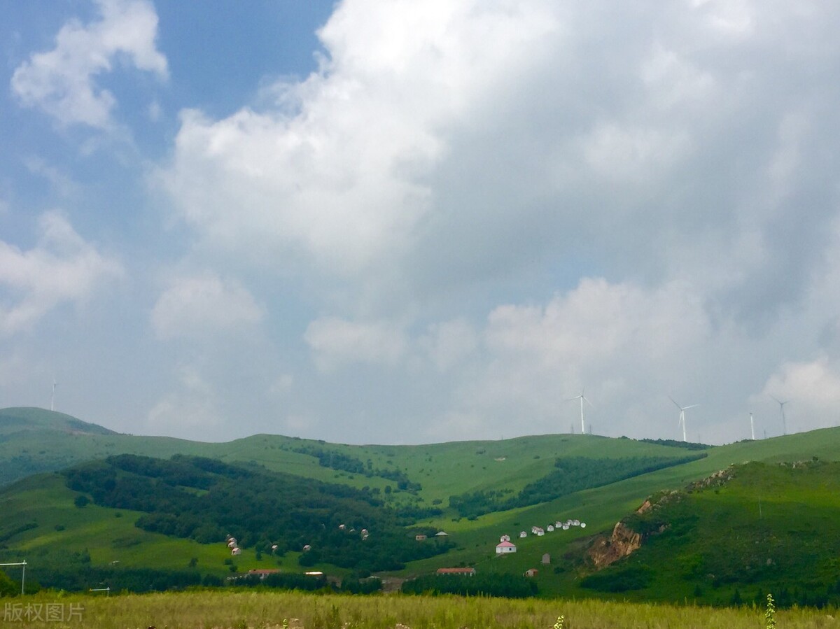 开颅手术后元气不足如何补元气,元气亏损吃什么补元气