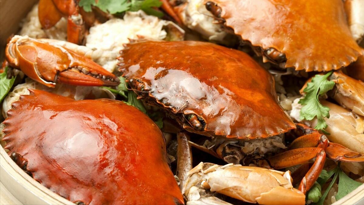 福建最美岛是哪个岛,福建琅岐岛真实现状