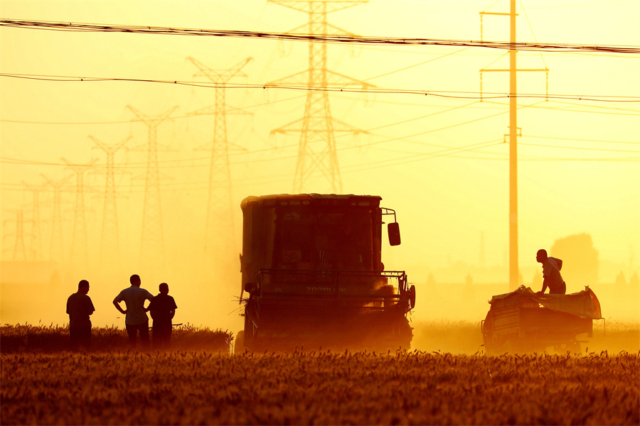 水务杯摄影作品,水务杯冠军