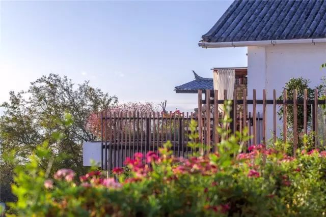 中国十大网红民宿,年盈利千万的民宿