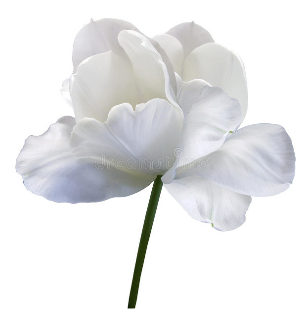 人缘差到极致的话,想要人缘好这三句话千万不要讲