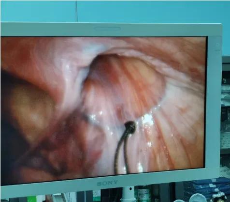 神秘之旅,神秘之旅视频