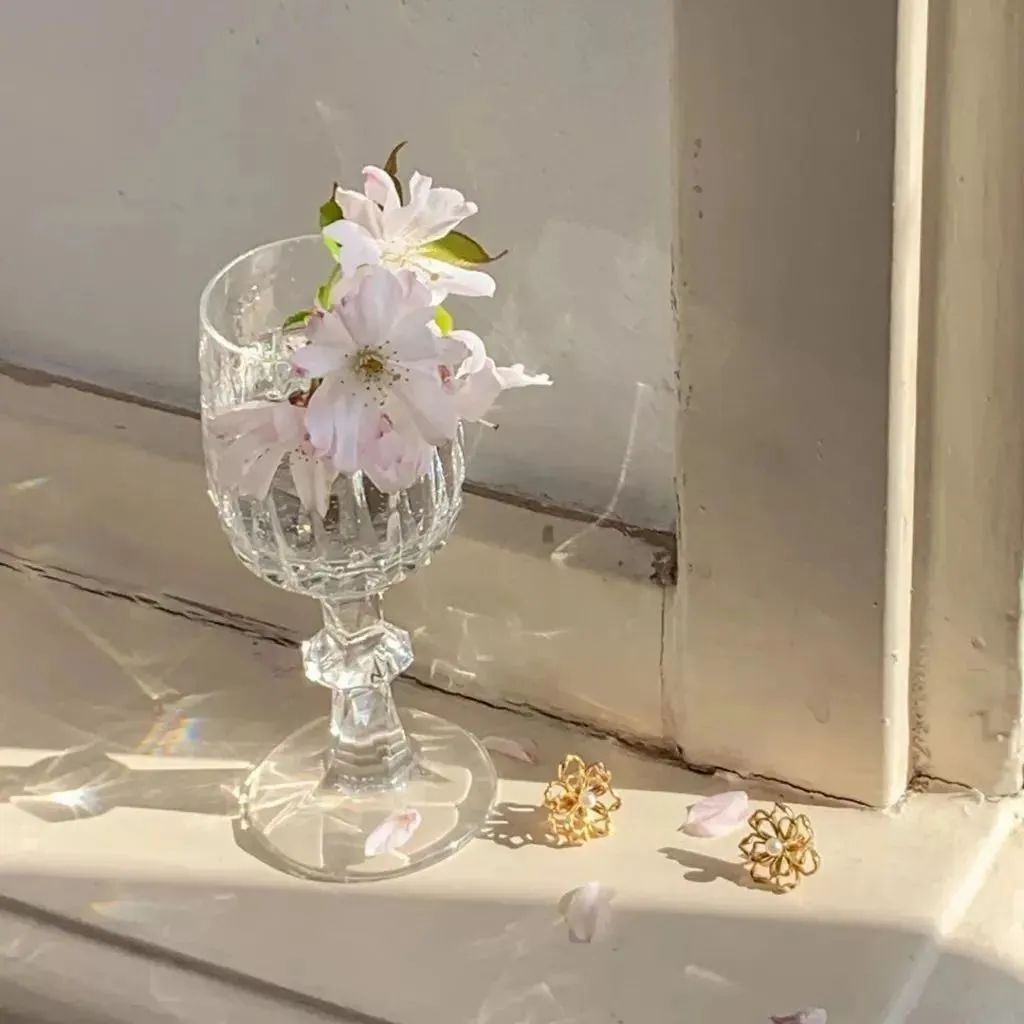 抖音生日祝福文案闺蜜,搞笑幽默的生日文案祝福闺蜜