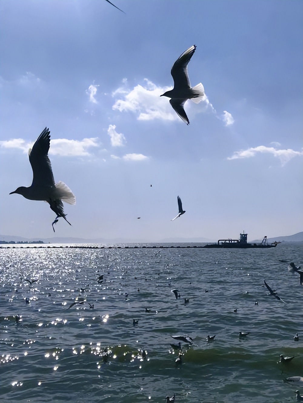 云南旅游6天5晚自驾游攻略,云南旅游攻略西双版纳5天4晚