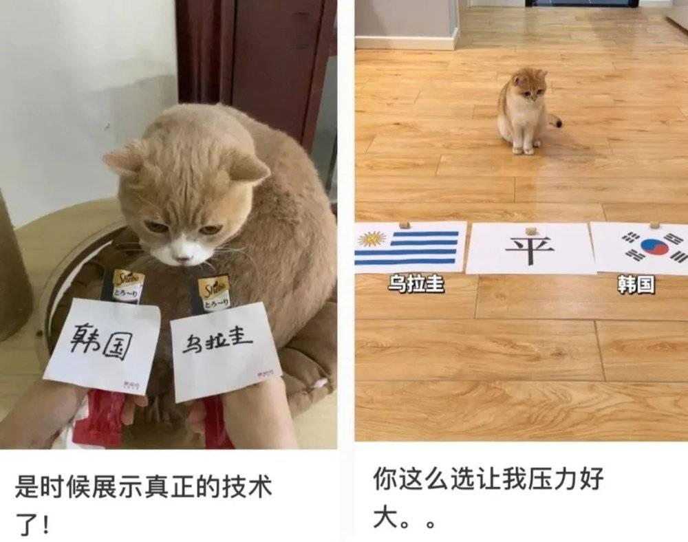 90后干部*球赌**输光2000万:世界杯*球赌**,让多少人走上了天台…