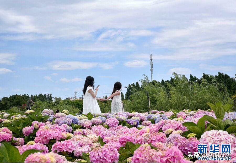 周末去哪里玩最合适昆明,昆明景点莫奈花园