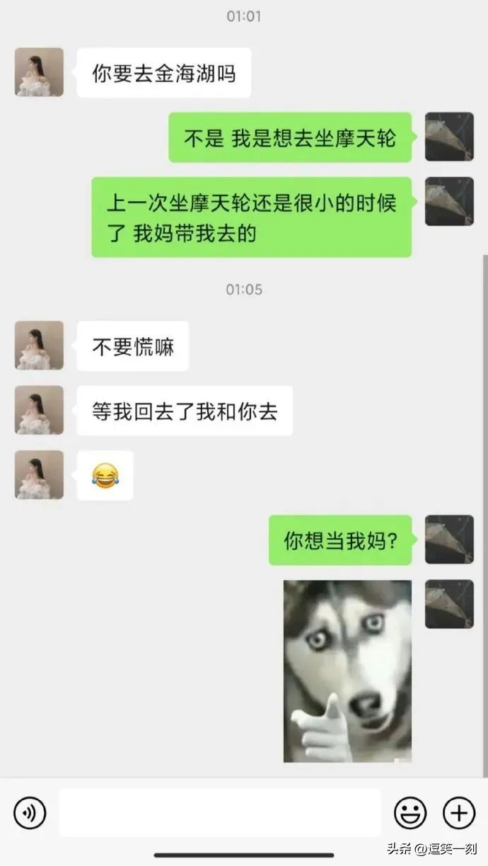 直男的神回复操作,直男的搞笑神回复