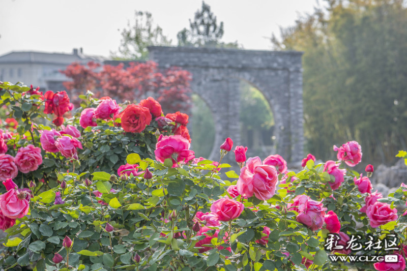 云南旅行攻略昆明,云南旅游全攻略昆明篇
