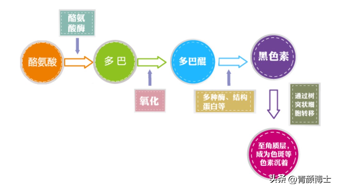 含熊果苷的大牌美白产品,熊果苷美白产品推荐