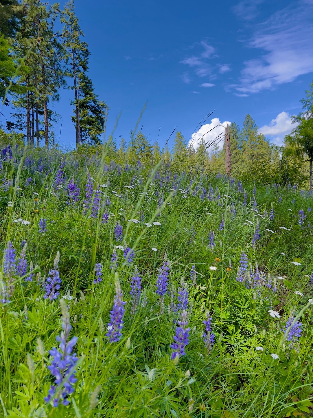 中国的问题实在太复杂了