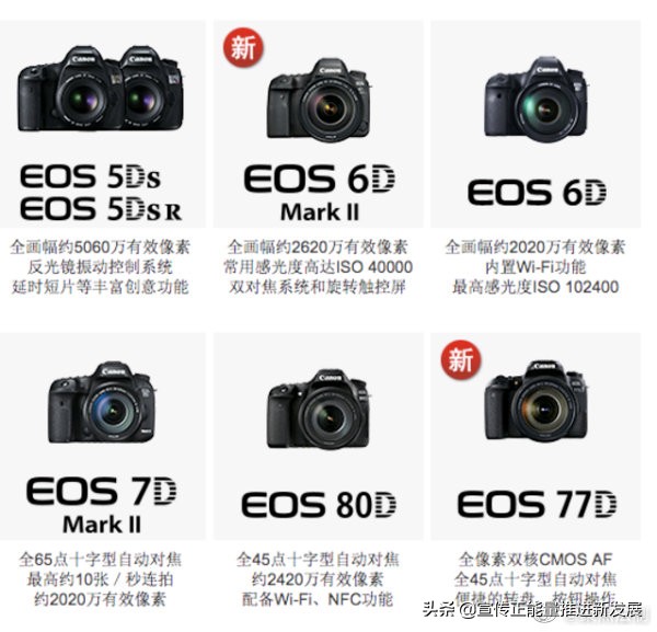 佳能6d单反相机价格表,佳能单反相机价格表最新