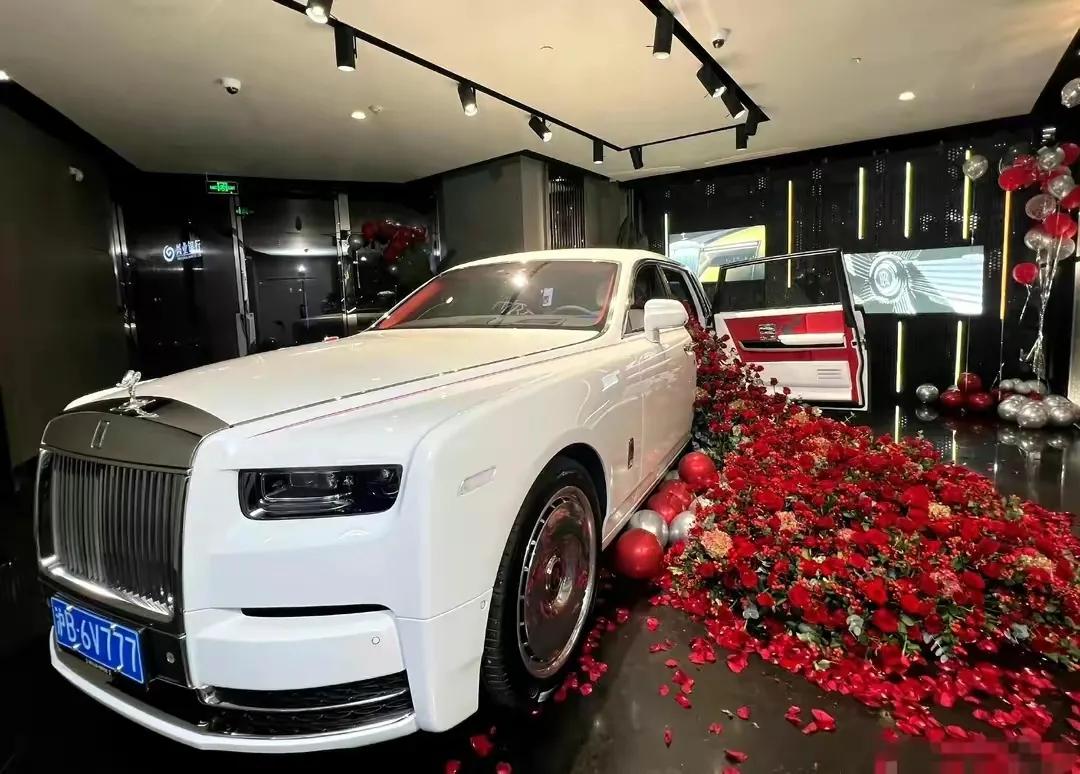 网红猫七七结婚,网红猫七七和小男友是真爱吗