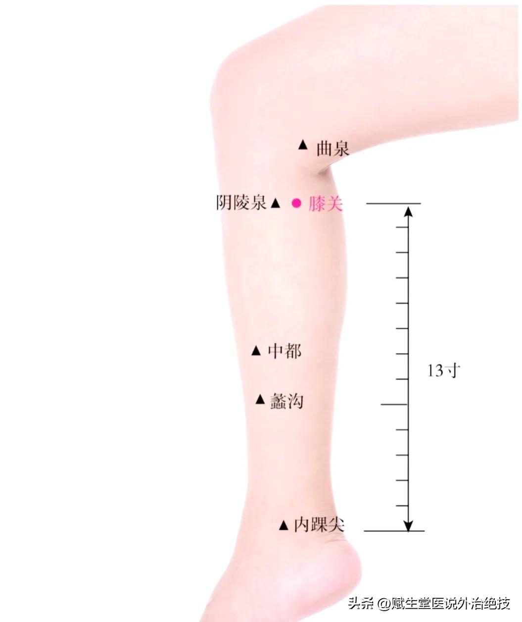 膝盖五针疗法扎哪个穴位,膝盖肿痛按什么穴位
