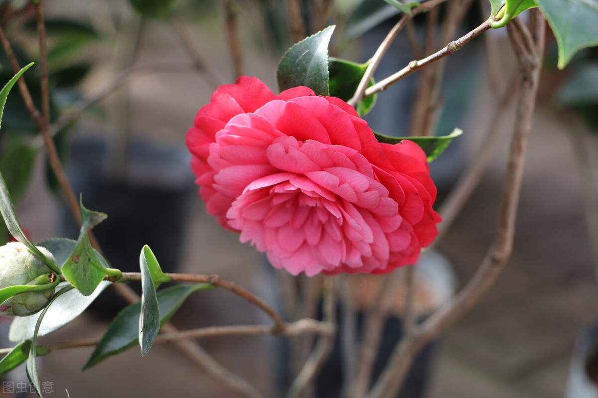 感谢每一天的美好遇见,感谢每一天的相逢