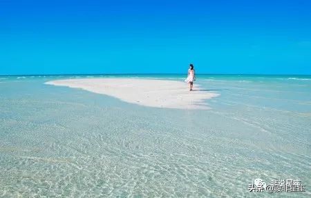 水瓶座在对待感情上有什么特质,水瓶座的性格特质和说服技巧