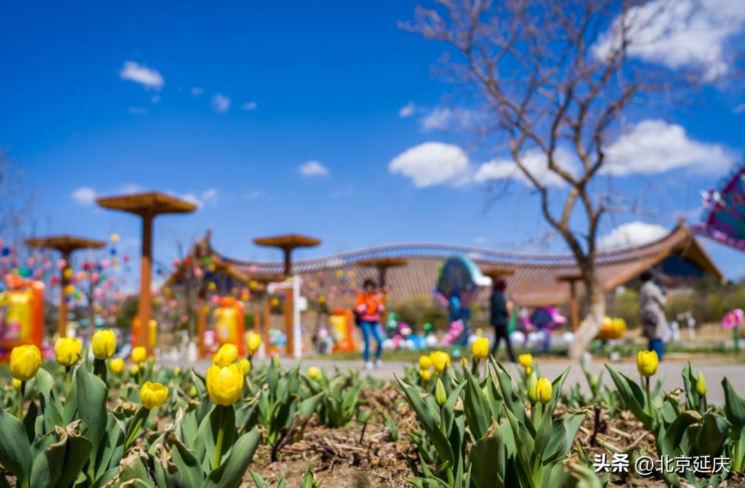 延庆二日游最佳攻略五一,五一北京延庆旅游攻略自驾