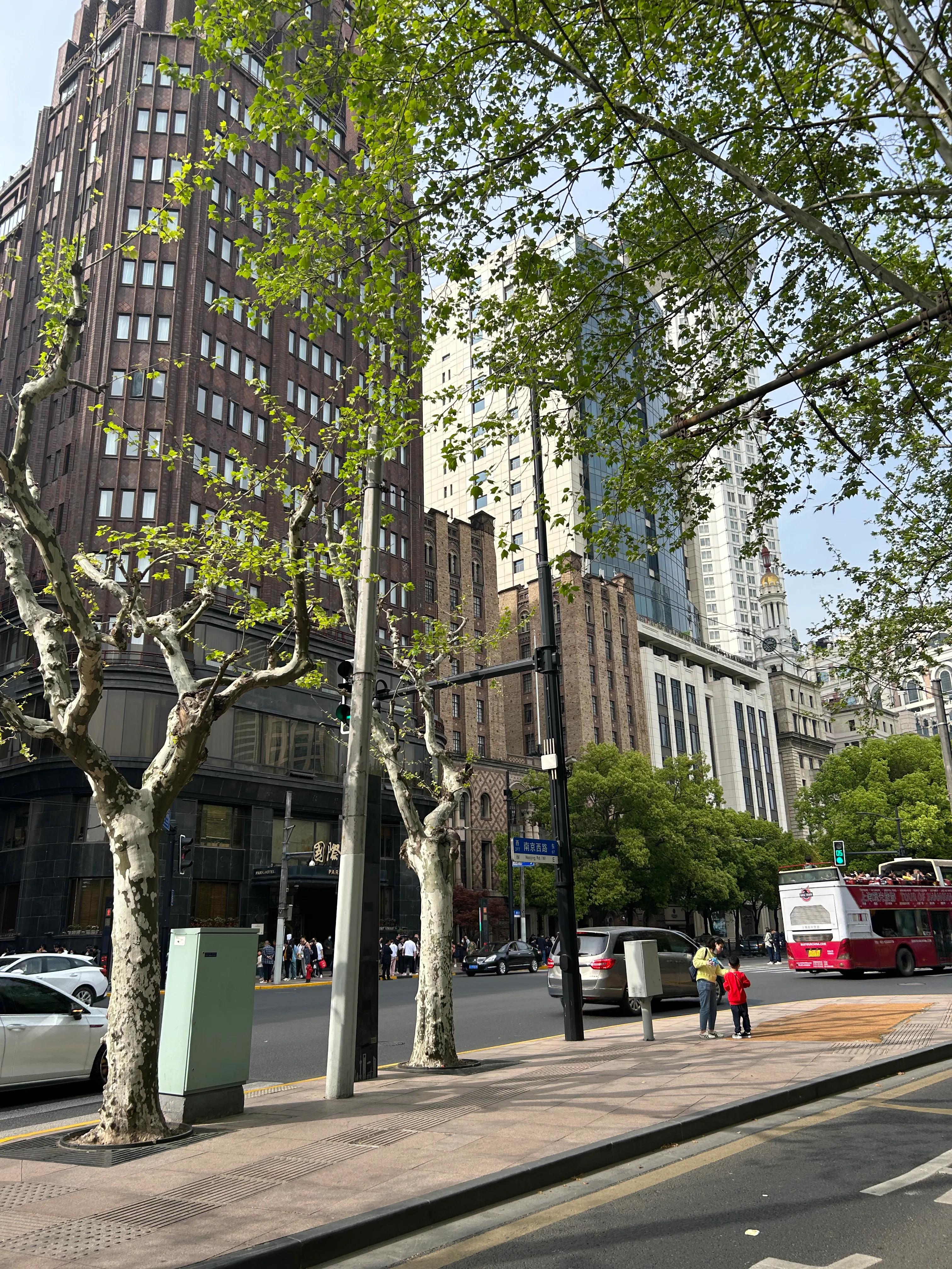 绿色五菱神车,绿色小五菱