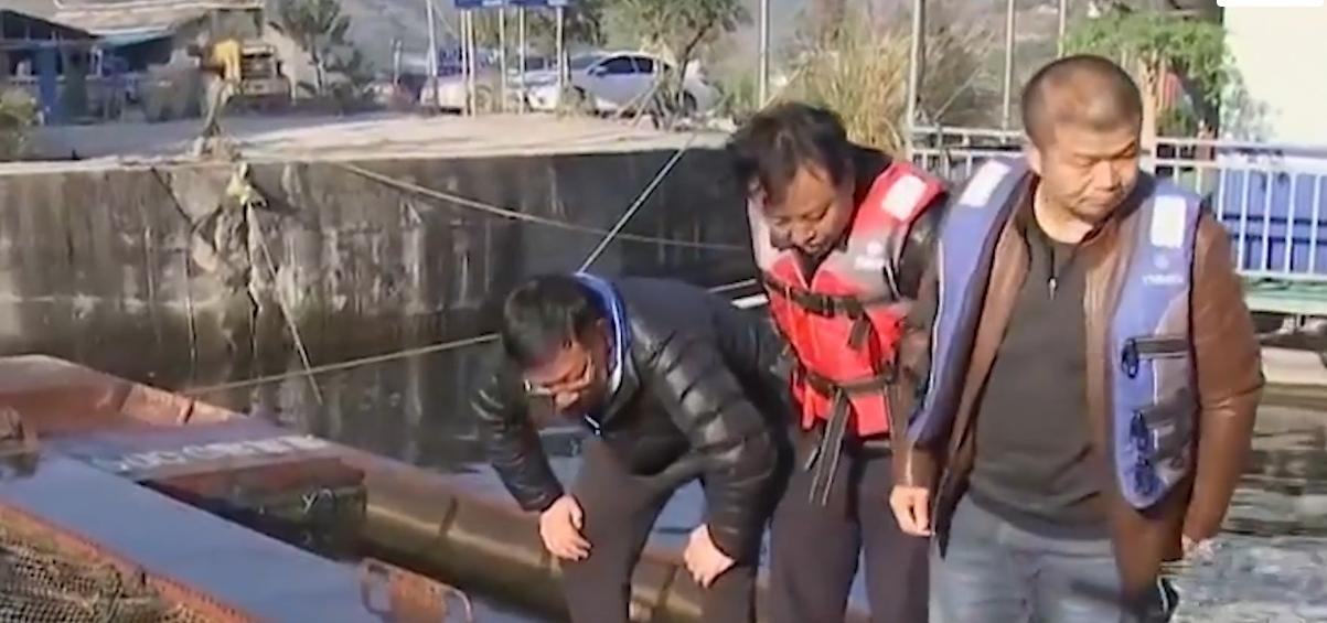 万尾鱼苗离奇失踪,鱼苗死亡鱼苗老板有责任吗