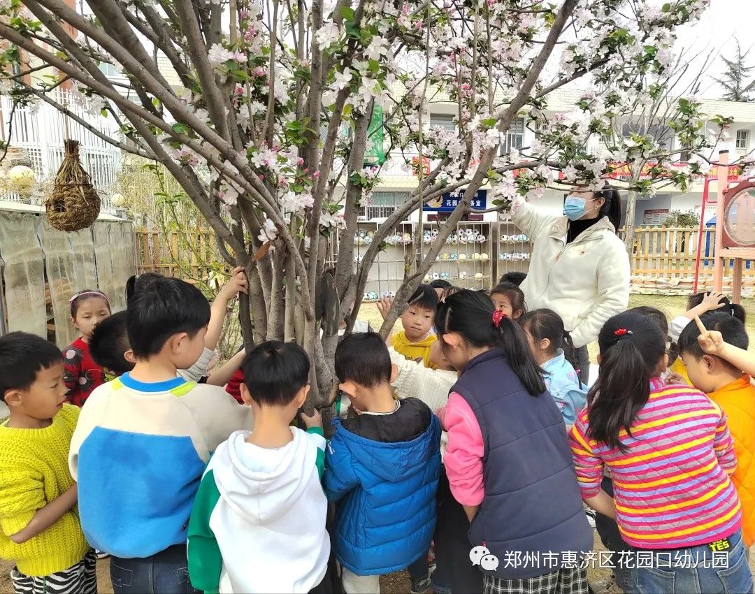 时光恰好遇见春天—郑州市惠济区花园口幼儿园大二班春天课程故事