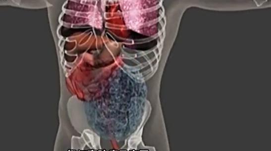 老人去医院检查五脏六腑离奇消失,50岁大爷五脏六腑离奇消失