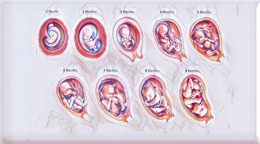 我们每天思考哪些问题,每天都要思考一个很深刻的问题