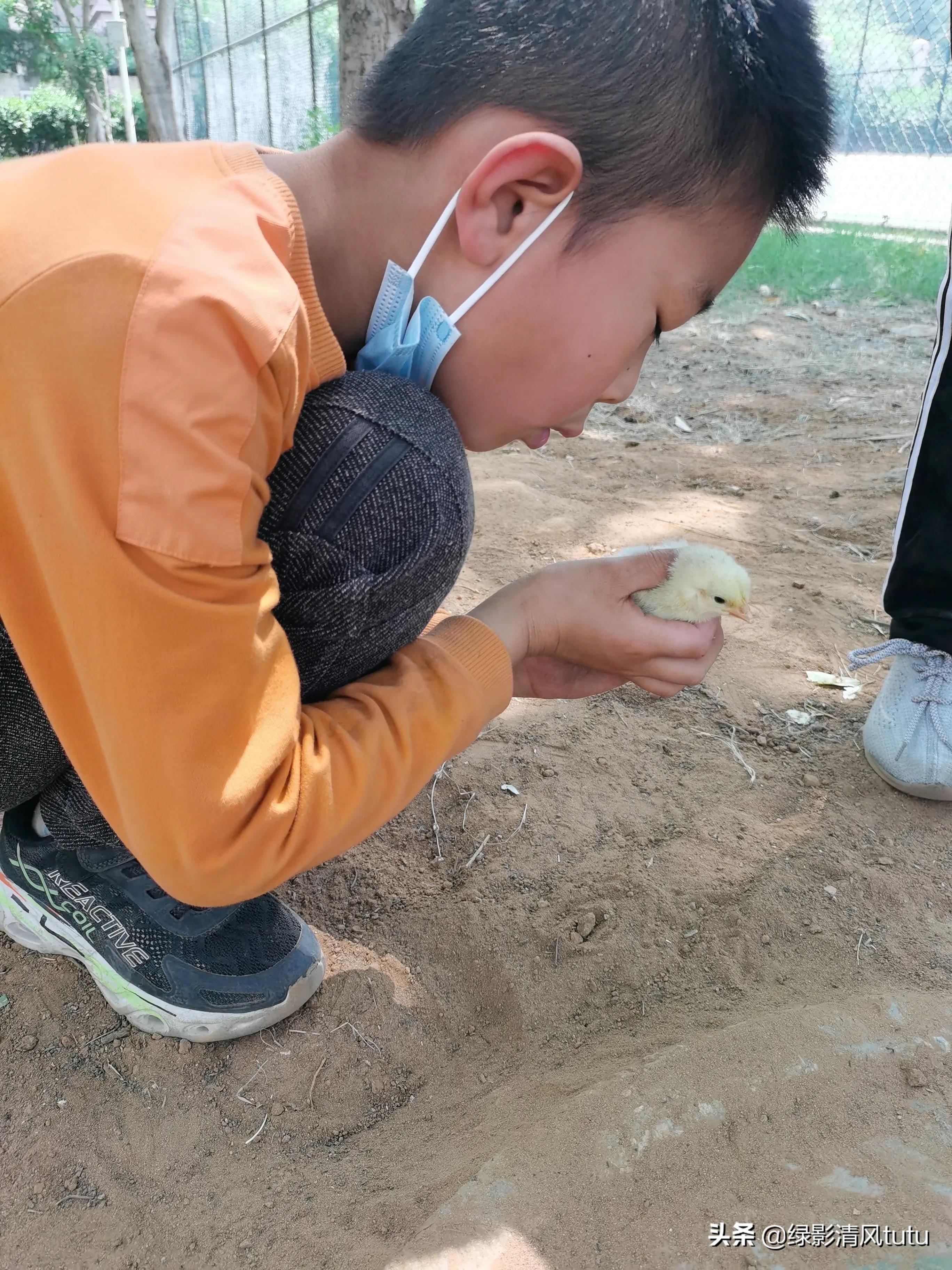 养不养孩子的区别,养宠物对孩子健康有什么影响