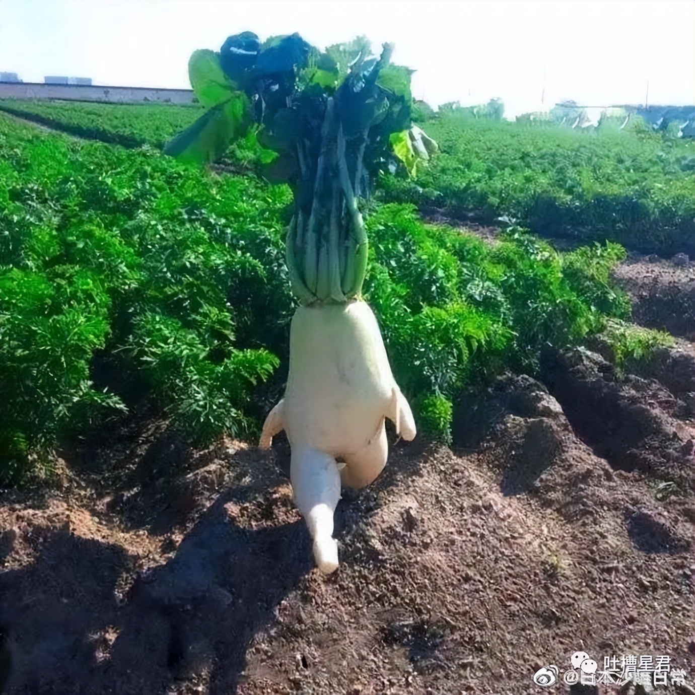 女友穿吊带裙男朋友的反应,女友买了新裙子