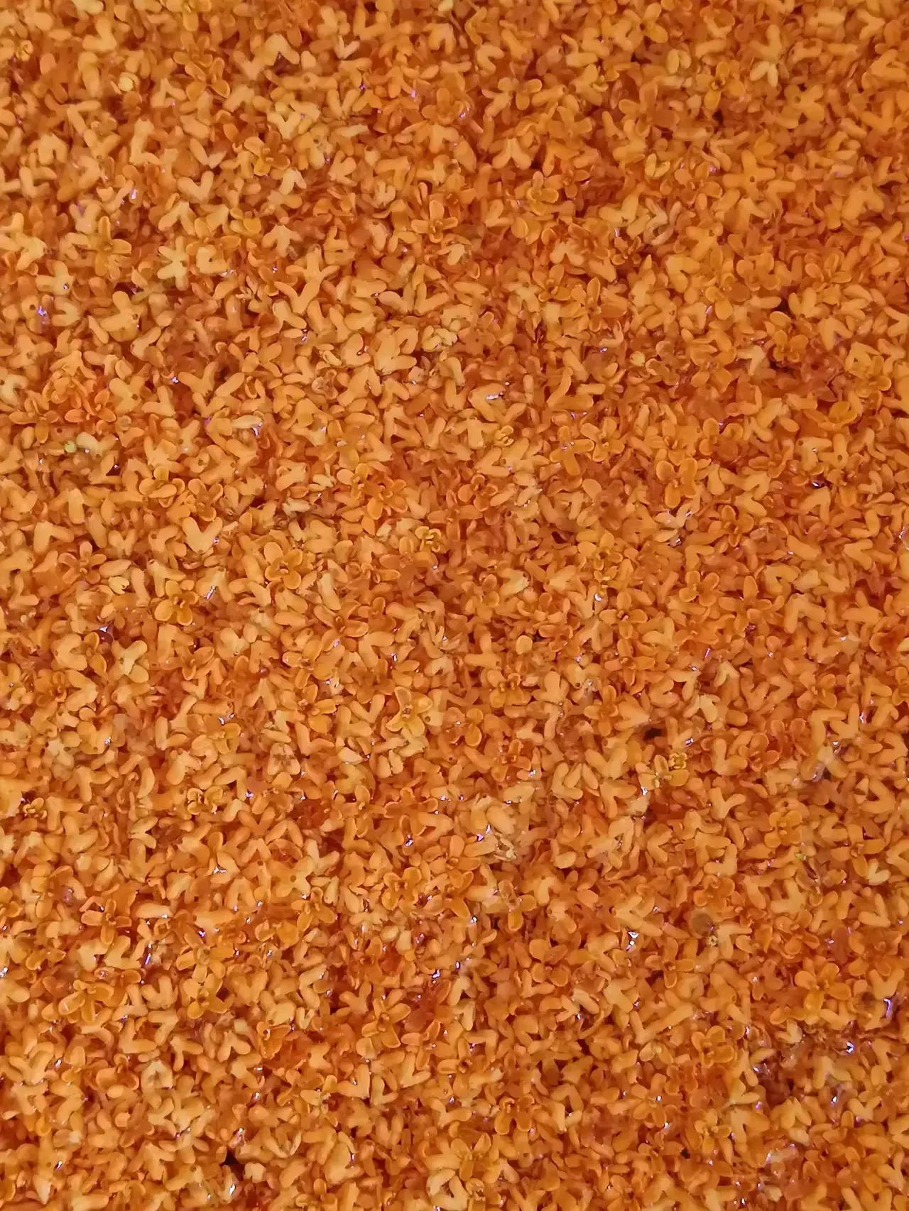 百岁老人60年的心愿,一个百岁的老人的心愿