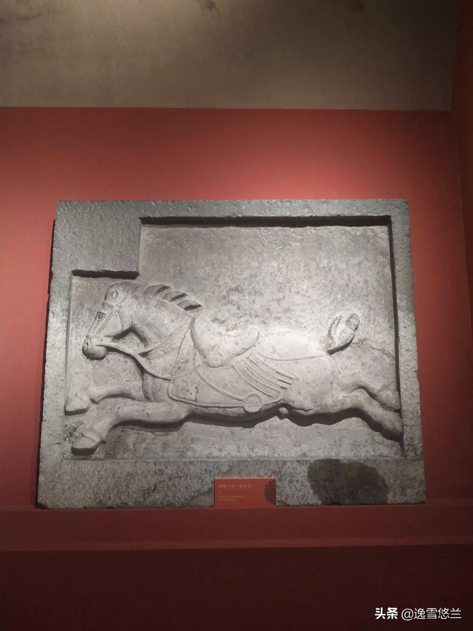 博物致知杂志,博物致知是书吗